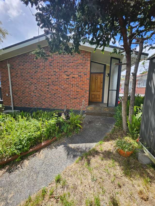 13 Quona Avenue Mount Roskill_2