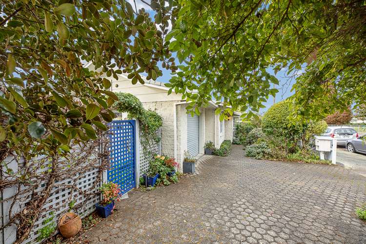 1a Francis Street Blenheim Central_10