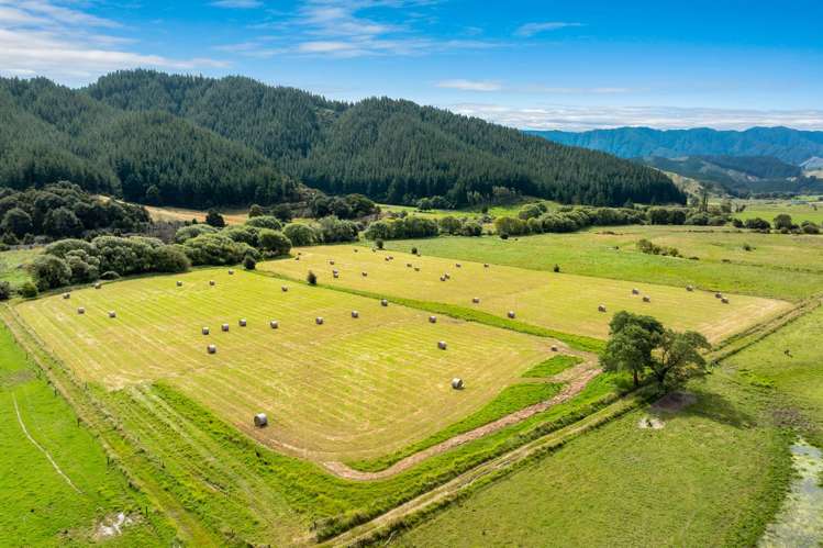 State Highway 1 Koromiko_16