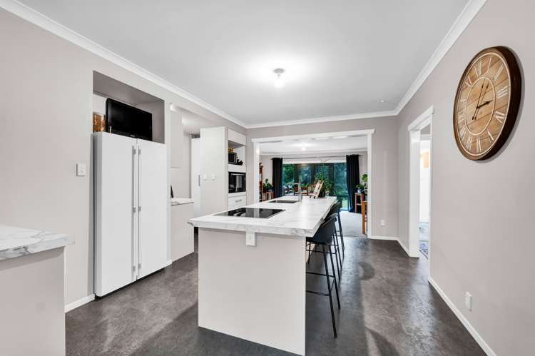 443 Albert Road Korito_9