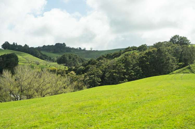 Lot 2 Boler Road Tauhoa_11