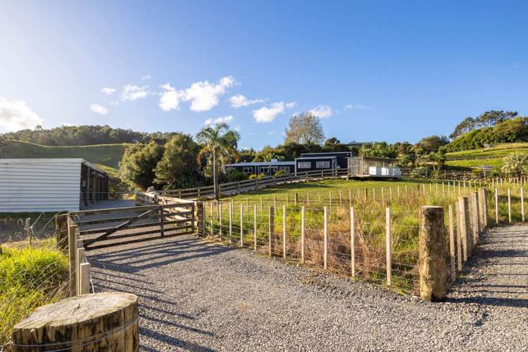 105 Zanders Road Helensville_31