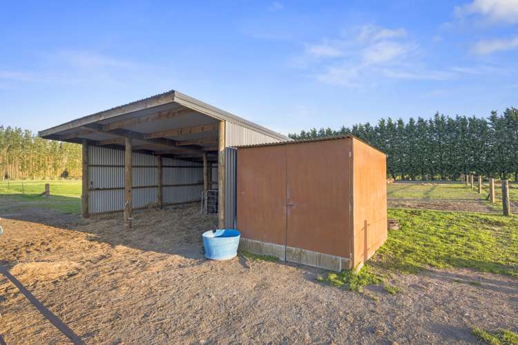 49 Moffatts Road Swannanoa_18