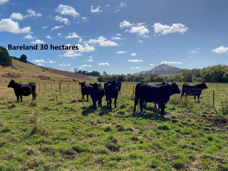 21 Patterson Road Palmerston_14