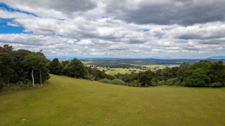 5631 State Highway 12 Kaikohe_22