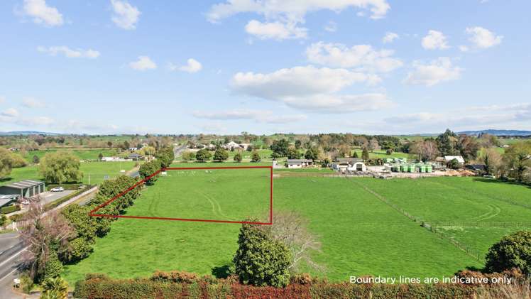 11a Lewis Street Waihou_8