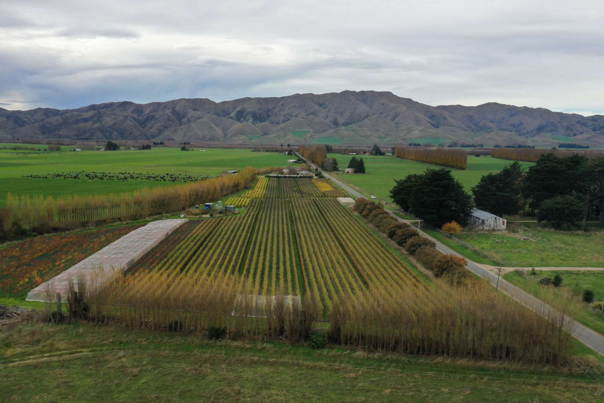 Otiake Road Kurow_0