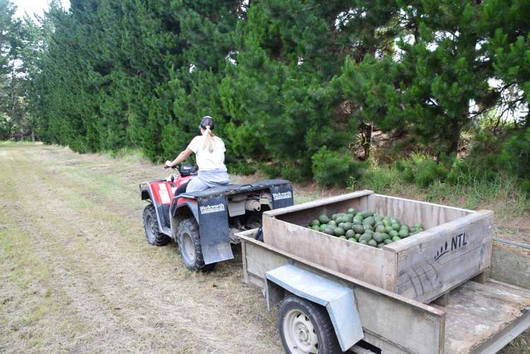 Journeys End Tapora_5