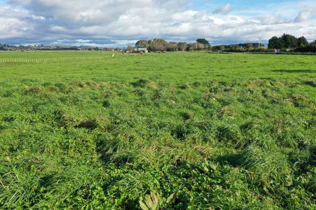 Lot Lot 2/22 Pahiatua Pongaroa Road Pahiatua_2
