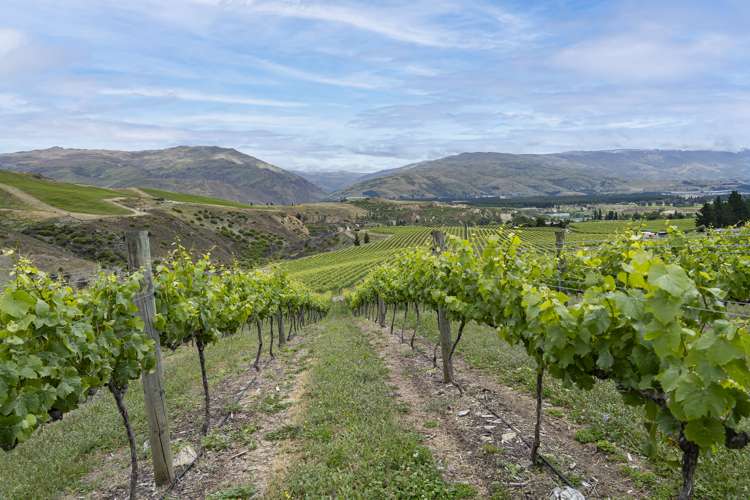 Cairnmuir Road Nevis_0