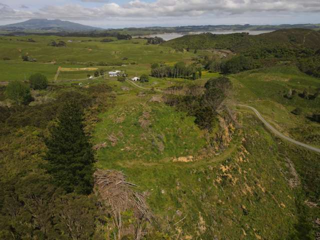 Ohautira Road Raglan_4