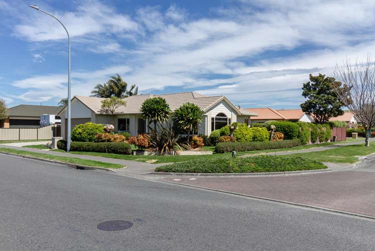 253 Guppy Road Taradale_19