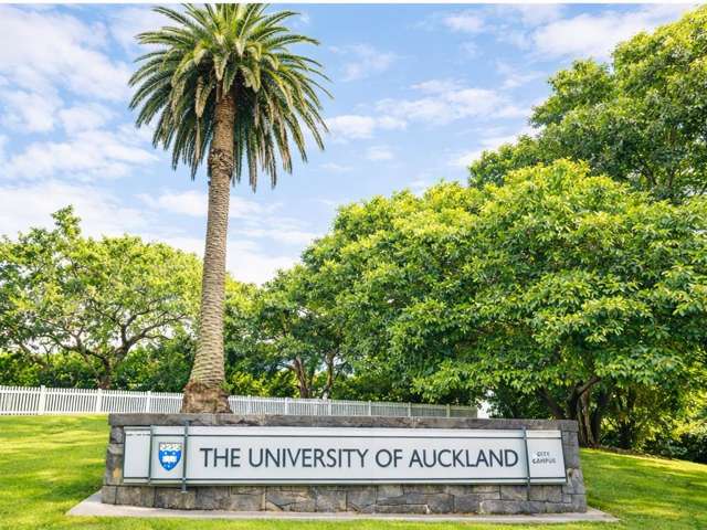 10F/30 Symonds Street Grafton_2