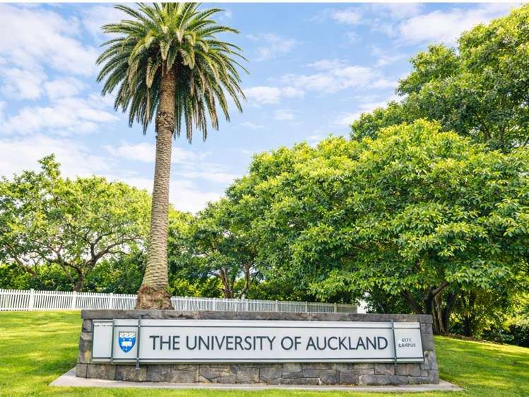 10F/30 Symonds Street Grafton_2