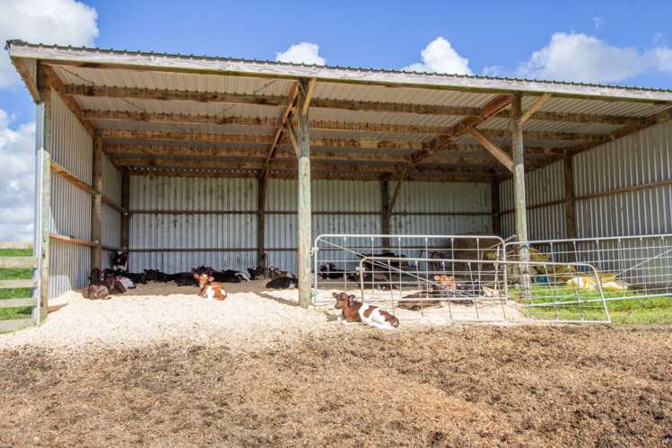 218 Waller Road Arapohue_8