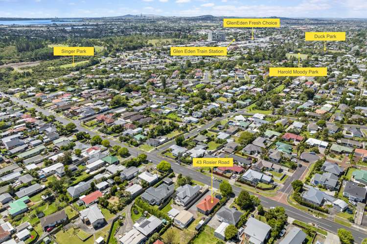 43 Rosier Road Glen Eden_15