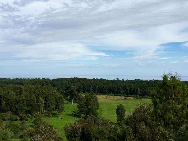 37 Wangapeka Road Kahurangi National Park_4