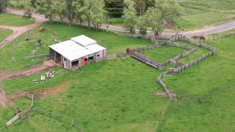 1896 Omana Road Pukehuia_5