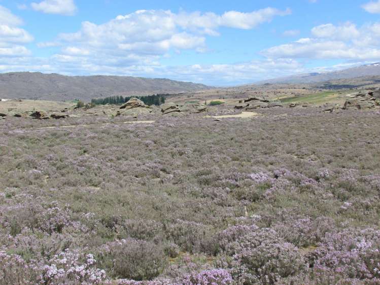 Tor Hill Road Conroys Gully_8