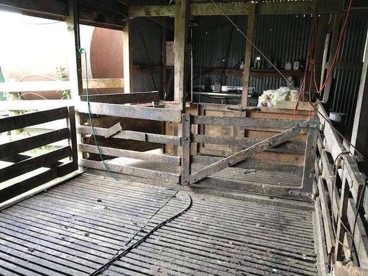 Ovens Road Matakohe_5