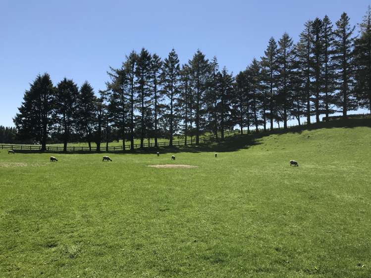 1434 Poihipi Road Oruanui_2