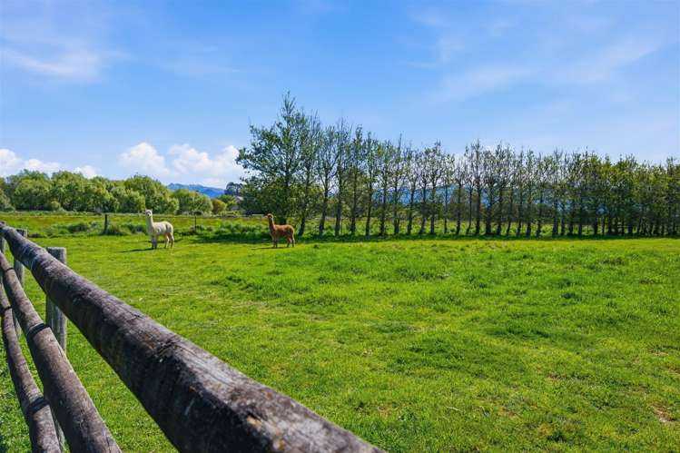 53 Wills Road Upper Moutere_28