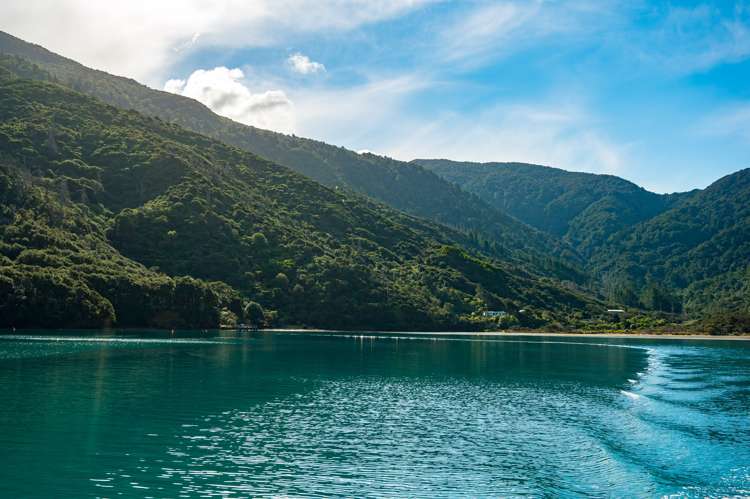 Endeavour Inlet Furneaux_5