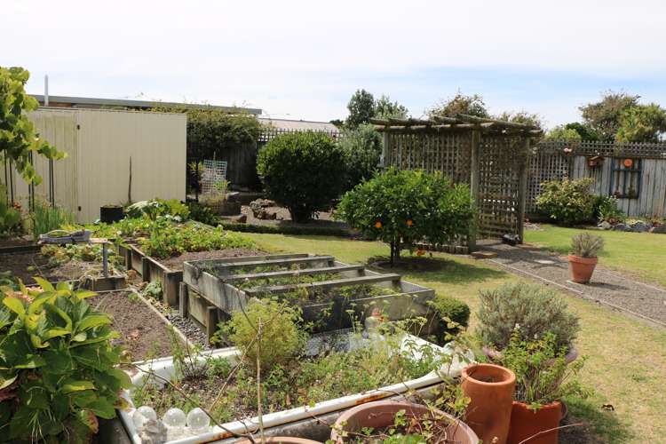 29 Seabury Avenue Foxton Beach_3