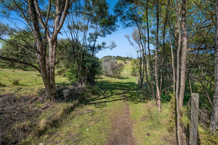 158 McLeod Road South Head_28