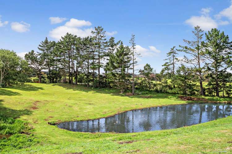 252 Morley Road Glenbrook_25