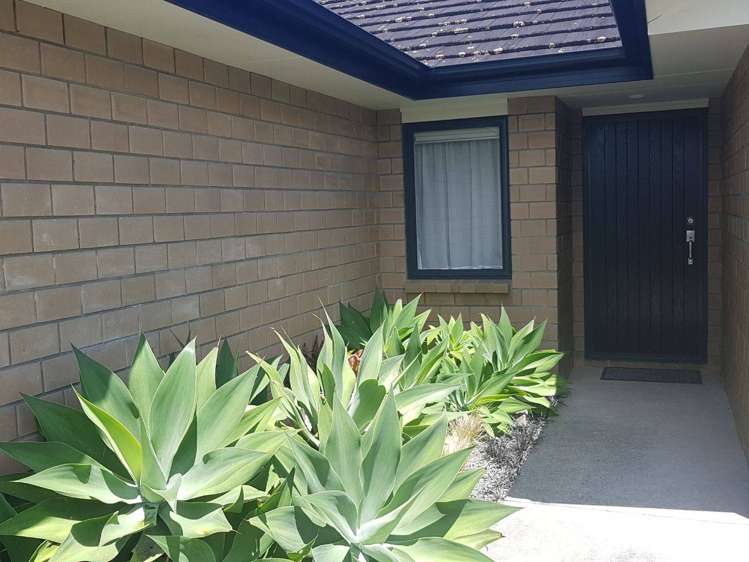 5 Astrid Lane Wellsford_2