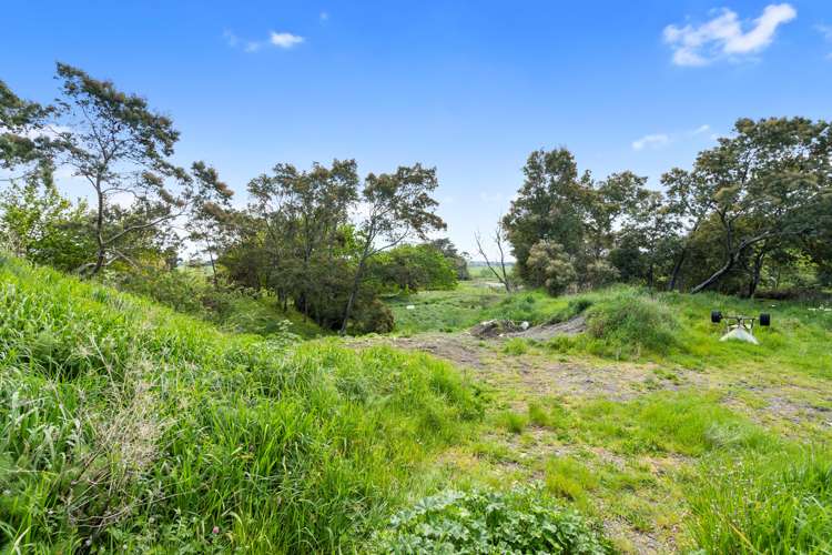 Wards Line Greytown_9