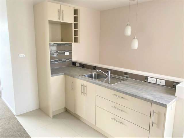 5a Puweto Avenue Takanini_1