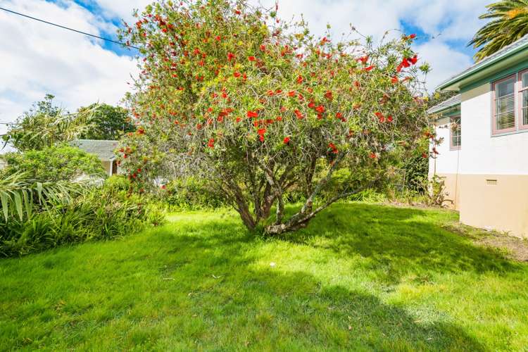 10 Handley Avenue Narrow Neck_15