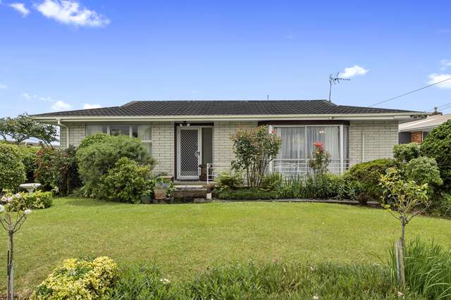 14 Howell Avenue Riverlea_1