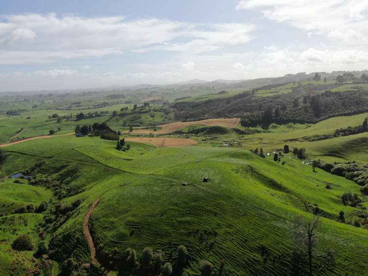 48 Barber Road Otewa_5