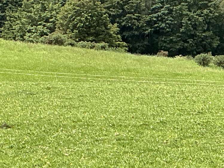 Lot 2/DP385487 Poyner Road Tahekeroa_14