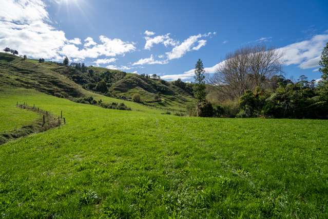 443 Scotsman Valley Road Tauwhare_3