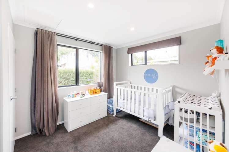 30a Alfred Street Roslyn_11