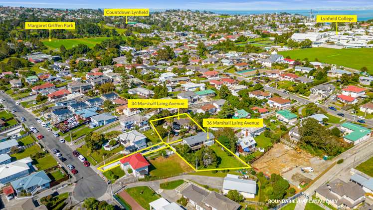 34 Marshall Laing Avenue Mount Roskill_17