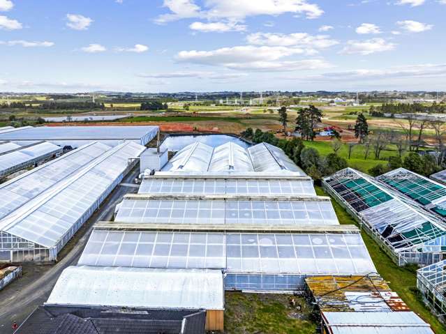 445 Fitzgerald Road Drury_3