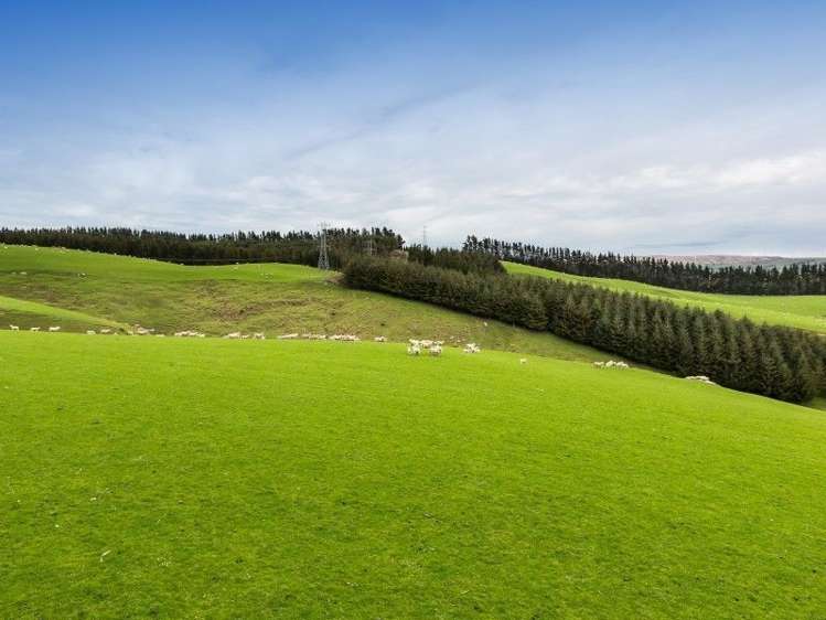 1680 Mahinerangi Road Waipori_7