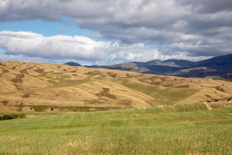 Lot/12A Kinney Road Chatto Creek_17