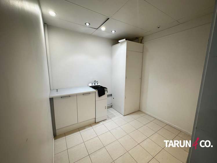 393 Parnell Road Parnell_6