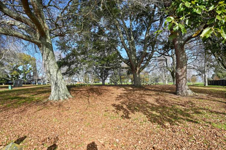 392 Kahikatea Drive Dinsdale_21