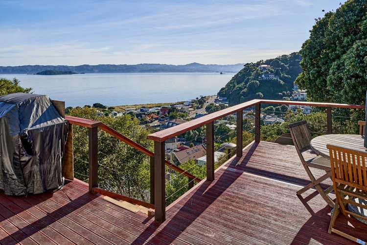 4 Matai Terrace Eastbourne_15