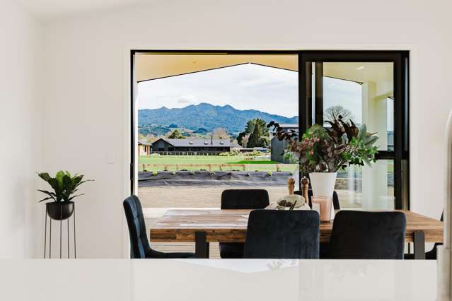 733 Collinson Street Pirongia_4