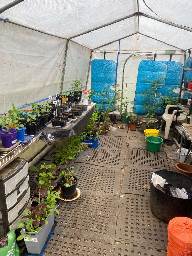 415 Woodbank Road Hanmer Springs_19