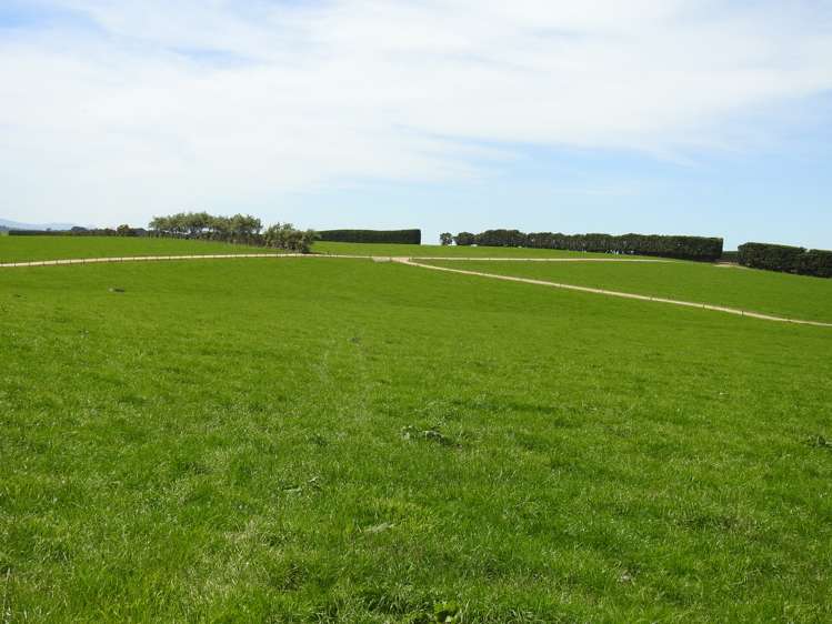 45 Rimu Seaward Downs Road Wyndham Surrounds_13