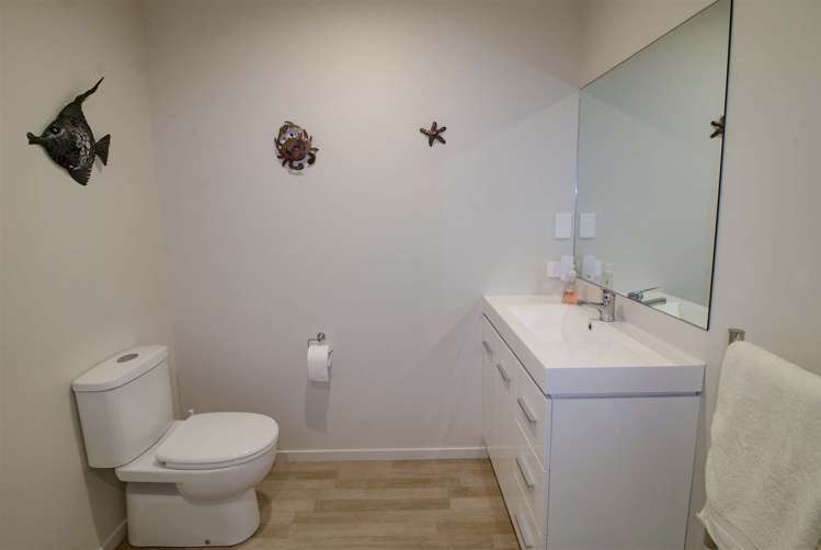 23/29 Terminus Street Te Aroha_11